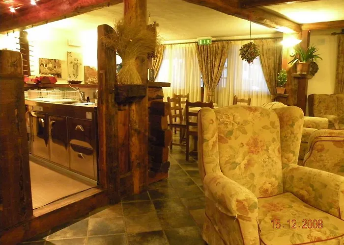 酒店 贝立维酒店 3*