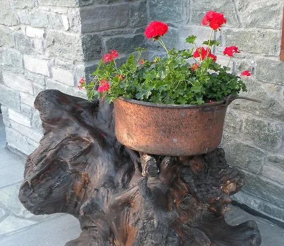 酒店 贝立维酒店 3*