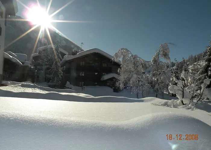 酒店 贝立维酒店 3*